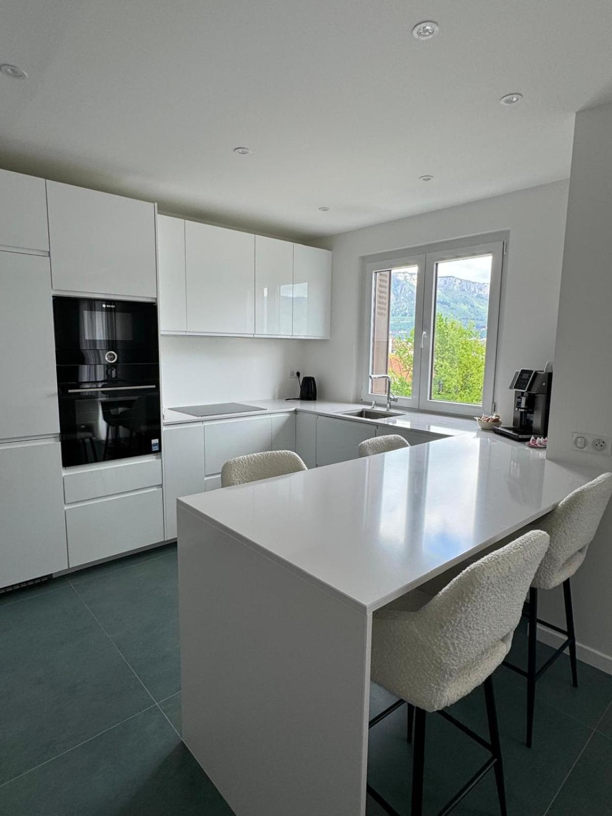 Modern Green & White - Apartments T3 60M2 Annecy - Parking Prive - Wifi - Netflix Exteriér fotografie